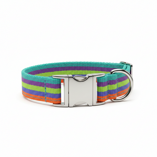 Adjustable Pet Collar